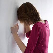 ����������ʪ���ļҺ�